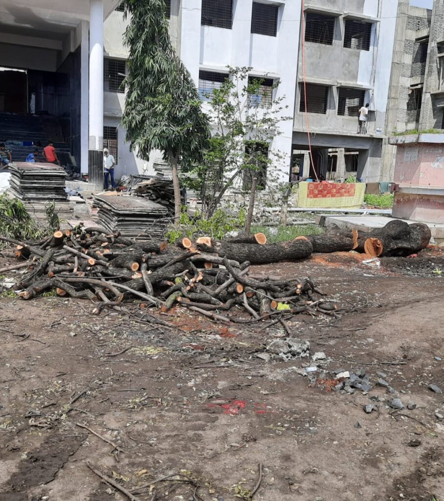 तहसील कार्यालयातील मोठमोठ्या वृक्षांची कत्तल, कठोर कारवाईची मागणी