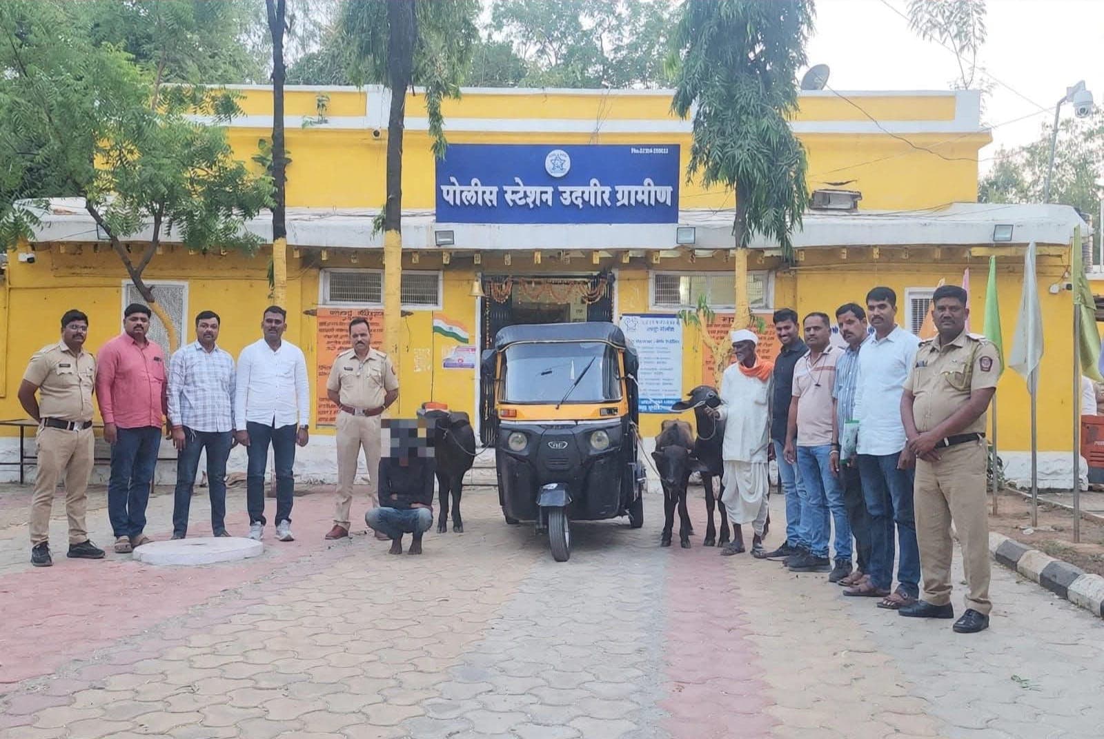 उदगीर ग्रामीण पोलिसांची पुन्हा धमाकेदार कामगिरी !!
12 तासांत शोधून काढली जनावर चोरी!!