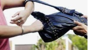 पादचारी महिलेची पर्स हिसकावली