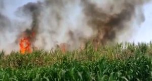 वंजारवाडी येथील चार शेतकऱ्यांचा १२ एकर ऊस व ७० पाईप जळून खाक