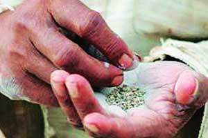 तंबाखू किंवा तंबाखूजन्य पदार्थ खाताय...? तोंडात चट्टा आलाय? ... वेळ दवडू नका... 31 मे ला तपासून घ्या..!!