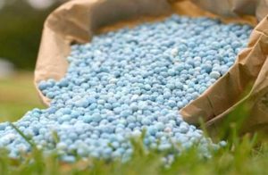 जिल्ह्यातील तीन रासायनिक खत विक्रेता केंद्राचे परवाने निलंबित