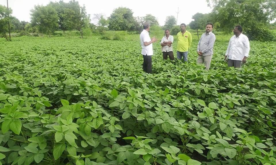 सोयाबीन टोबण पद्दत ठरत आहे परिणामकारक