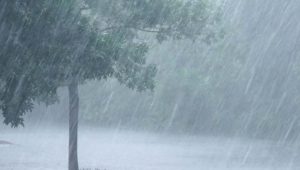 प्राथमिक व माध्यमिक शाळांना 15 व 16 जूलै दिवशी सुट्टी जाहीर