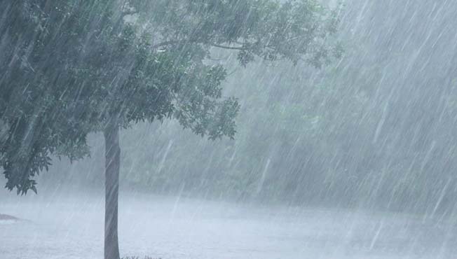 प्राथमिक व माध्यमिक शाळांना 15 व 16 जूलै दिवशी सुट्टी जाहीर