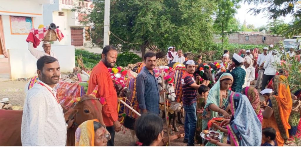बैल पोळा सण शेतकऱ्यांकडून उत्साहात साजरा