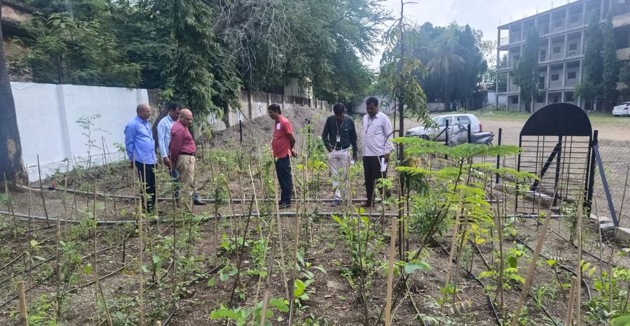 प्राचार्य डॉ.संजय वाघमारे आणि बालाजी कांबळे यांची 'मिया वाकी' ऑक्सिजन पार्कला भेट