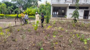 माजी राज्यमंत्री बाळासाहेब जाधव यांच्याकडून महात्मा फुले महाविद्यालयातील 'मिया वाकी' उपक्रमाचे कौतुक