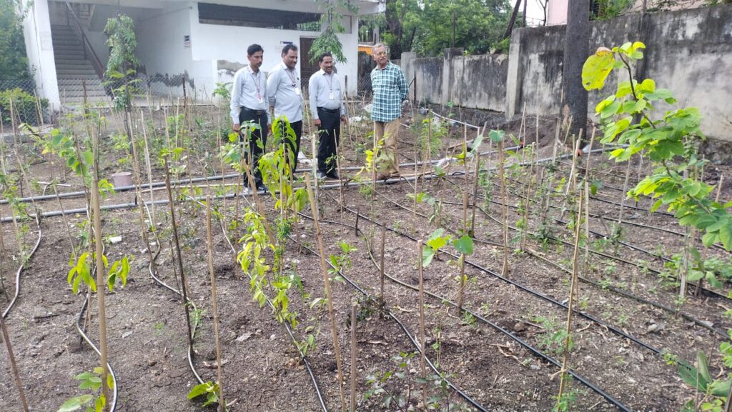 उद्योजक शरद जोशींची महात्मा फुले महाविद्यालयाच्या 'मिया- वाकी' प्रकल्पास भेट