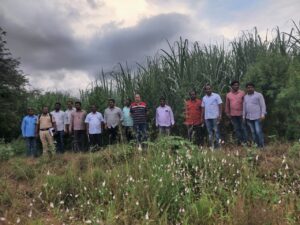 उसाच्या फडात गांजाची शेती !! नशेच्या बाजाराला ग्रामीण पोलिसांकडून मूठमाती !!!