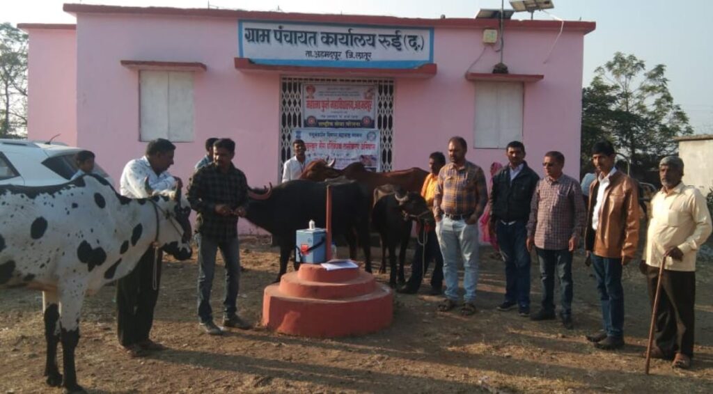 महात्मा फुलेच्या एन.एस.एस. मधून ६०० पशुधनाची आरोग्य तपासणी व उपचार