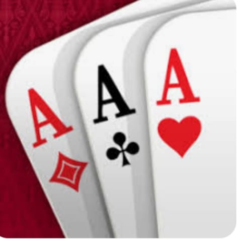 खेडेगावात जुगाराचे अड्डे थाटले!! तरीही वाढवणा पोलिसांनी त्यांना गाठले!!