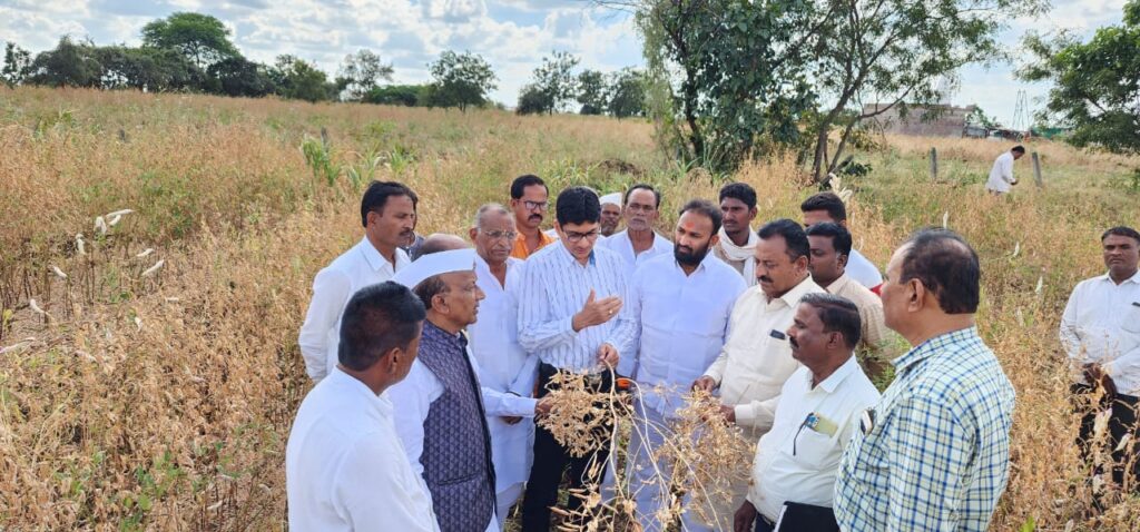 बुरशीजन्य रोगामुळे झालेल्या तूर पिकाची नुकसान भरपाई मिळावी : आ.बाबासाहेब पाटील