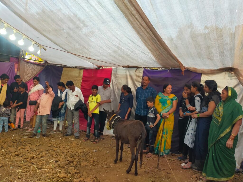 माळेगावात माणसा परीस 'टॅलेंटेड'… म्हणजे लय 'हुश्शार' 'गाढव' आलंय…!