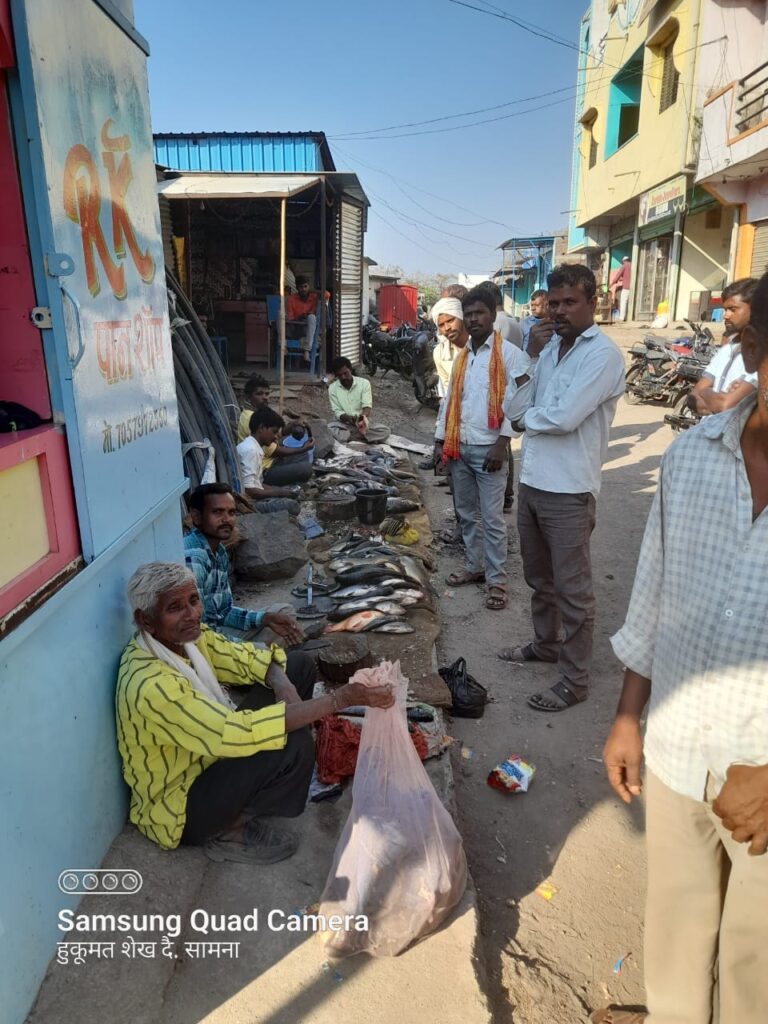 वाढवण्यात मासळी बाजार बहरला अनेक तरुणांना मिळाला रोजगार