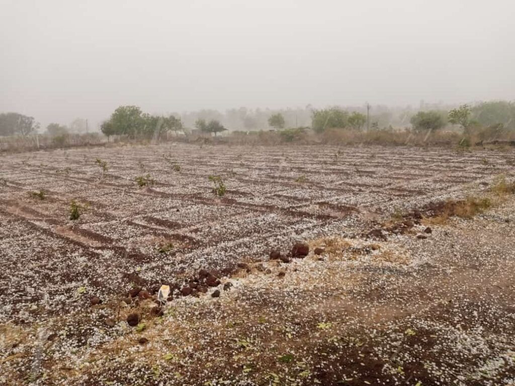 कासार सिरसी परिसरात गारांचा मुसळधार पाऊस, शेतकऱ्यांचे मोठे नुकसान