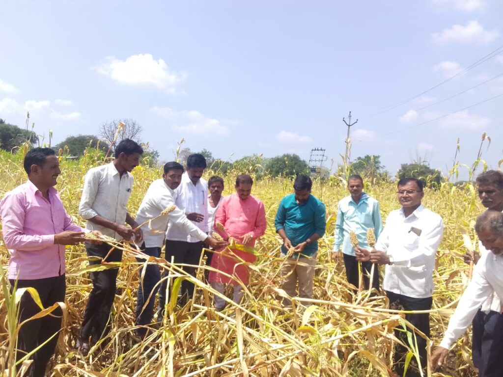 अवकाळी पाऊस गारपीटीमुळे शेतकऱ्याचे अतोनात नुकसान