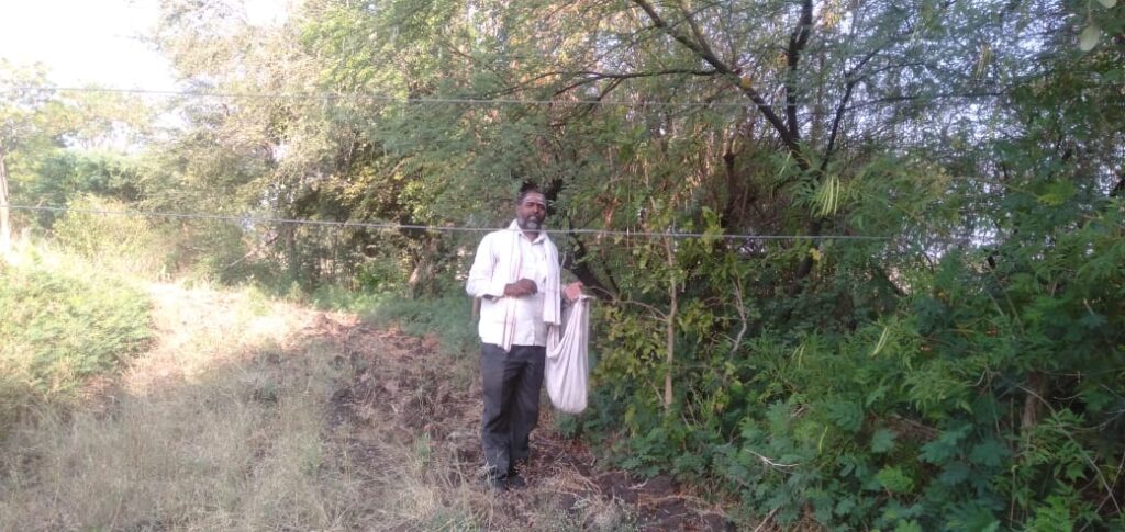महावितरण खात्याचा भोंगळ कारभार वर् शेतीतील विजेचे तार खाली लोंबकळतात, जीवित हानी होण्याची श्यकता