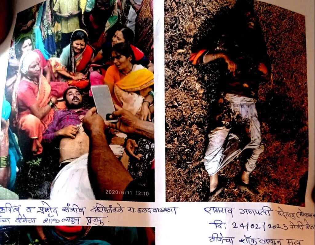 शेती पंपाला दिवसा वीज द्या - मनसेची मागणी