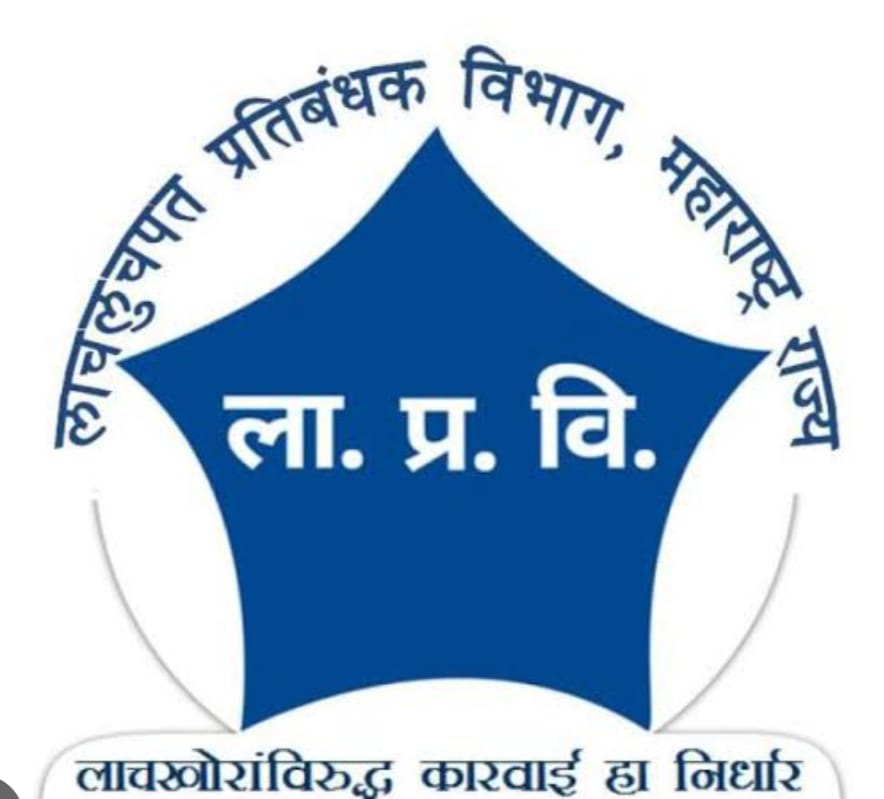 लाचखोरीचा आरोपी तलाठ्यास 14 दिवसाची न्यायालयीन कोठडी