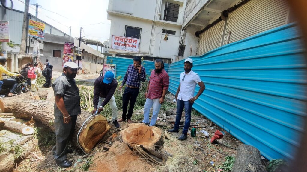 विनापरवाना झाड तोडले; मनपाकडून एक लाख रुपये दंडाची नोटीस