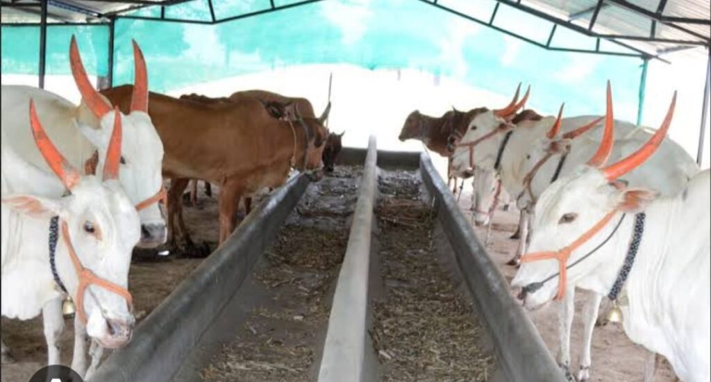 गोवर्धन गोवंश सेवा केंद्र योजनेसाठी 31 जुलैपर्यंत प्रस्ताव सादर करण्याचे आवाहन