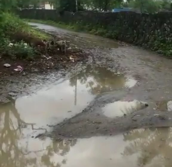 वाढवणा येथील अनेक रस्त्यांची दुर्दशा नागरीक त्रस्थ प्रशासनाचे मात्र दुर्लक्ष