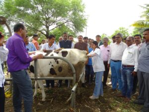 शेतकऱ्यांनी दुग्धजन्य पदार्थांच्या निर्मितीचा ब्रँड बनवावा - डॉ. अनिल भिकाने