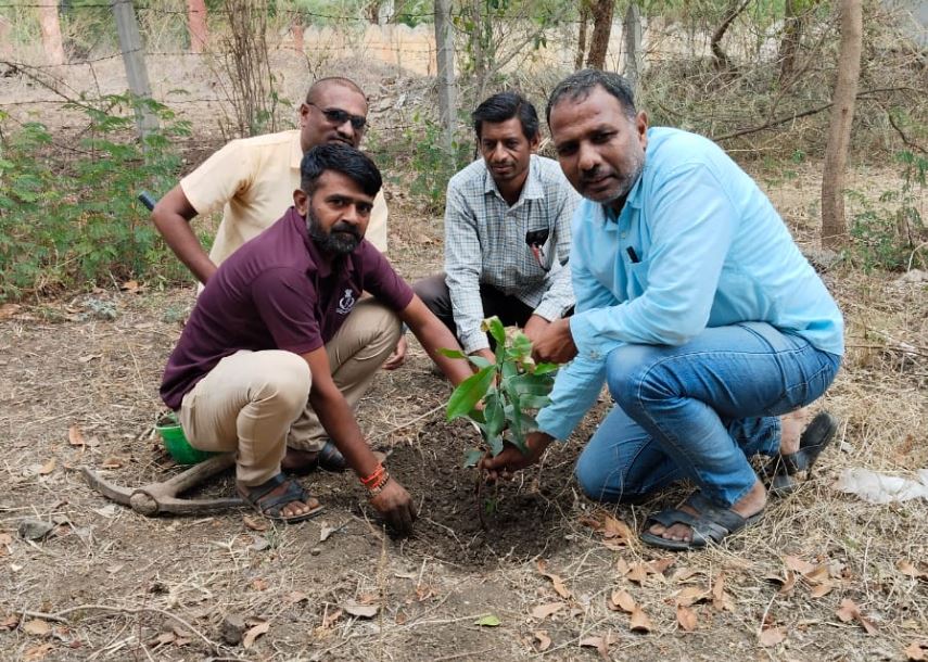 पर्यावरण दिनानिमित्त जय हिंद प्रयाग विद्यालयांमध्ये वृक्षारोपण