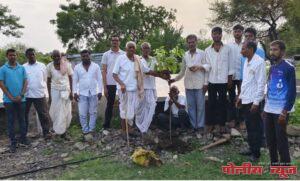 ए.ई.जी. फाऊंडेशन, लक्ष्मी कृषी सेवा केंद्र व कदम कृषी सेवा केंद्र यांच्या संयुक्त विद्यमाने महाराष्ट्र कृषी दिनानिमित्त वृक्षारोपन