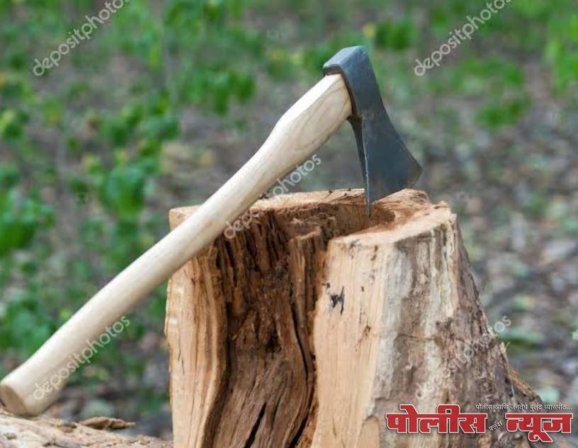 उदगीर नगरपरिषदे कडून वृक्ष तोड करण्याऱ्या विरुद्ध गुन्हा दाखल