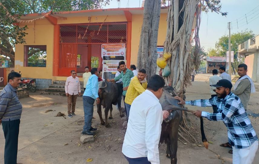 महात्मा फुले महाविद्यालयाच्या एनएसएस शिबिरात कृषी कार्यशाळा व पशु चिकित्सा शिबिर संपन्न