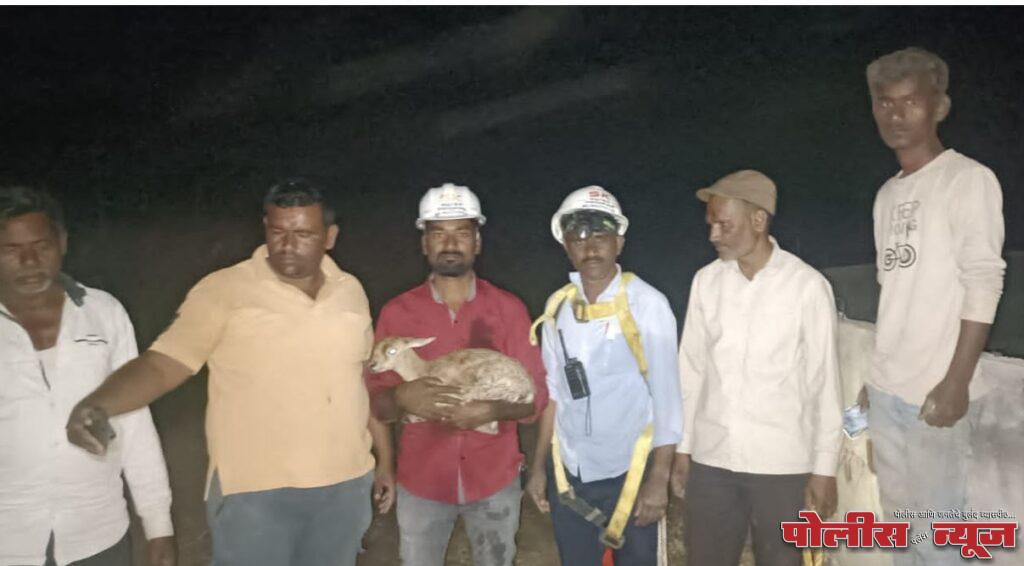 60 फुट खोल विहिरीत पडलेल्या हरिणाच्या पाडसाला दिले जिवदाण