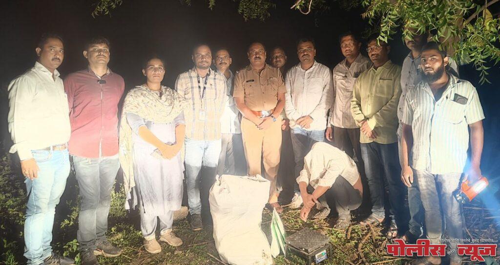 स्थानिक गुन्हे शाखा व पोलीस ठाणे अहमदपूरची संयुक्त कार्यवाही; 1 लाख 37 हजारांचा गांजा जप्त