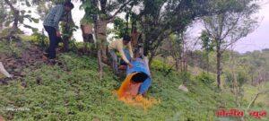 हातभट्टी दारू तयार करणाऱ्या अड्ड्यावर, देशी-विदेशी दारूची अवैध विक्री करणाऱ्यावर छापेमारी. 41 गुन्हे दाखल.