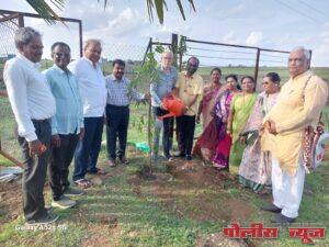 ज्येष्ठ नागरिक संघाच्या वतीने वृक्षारोपण