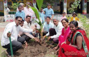 एक पेड माँ के नाम अंतर्गतढोरसांगवी शाळेत वृक्षारोपण