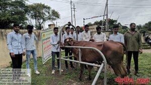 कृषीदुतांमार्फत हेर व करडखेल येथे जनावरांचे लंपी आजाराचे लसीकरण संपन्न