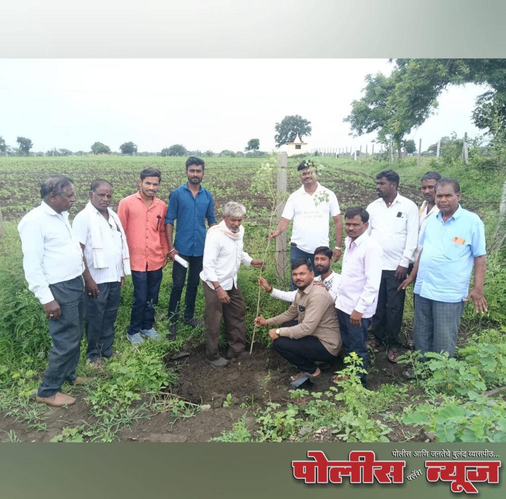 तोंडचिर ग्रामपंचायतचा वृक्षारोपणाचा आदर्श संकल्प