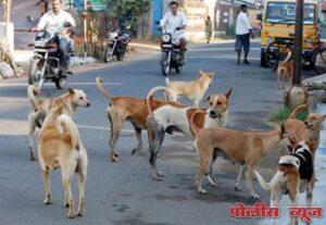 शहरातील मोकाट कुत्र्यांचा बंदोबस्त करा मुख्याधिकाऱ्यांना महाराष्ट्र जनएकता संघटनेचे निवेदन