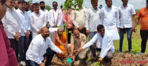 तक्षशिला बुद्ध विहार, काळेगाव येथे दोन हजार वृक्षांचे महावृक्षारोपण संपन्न