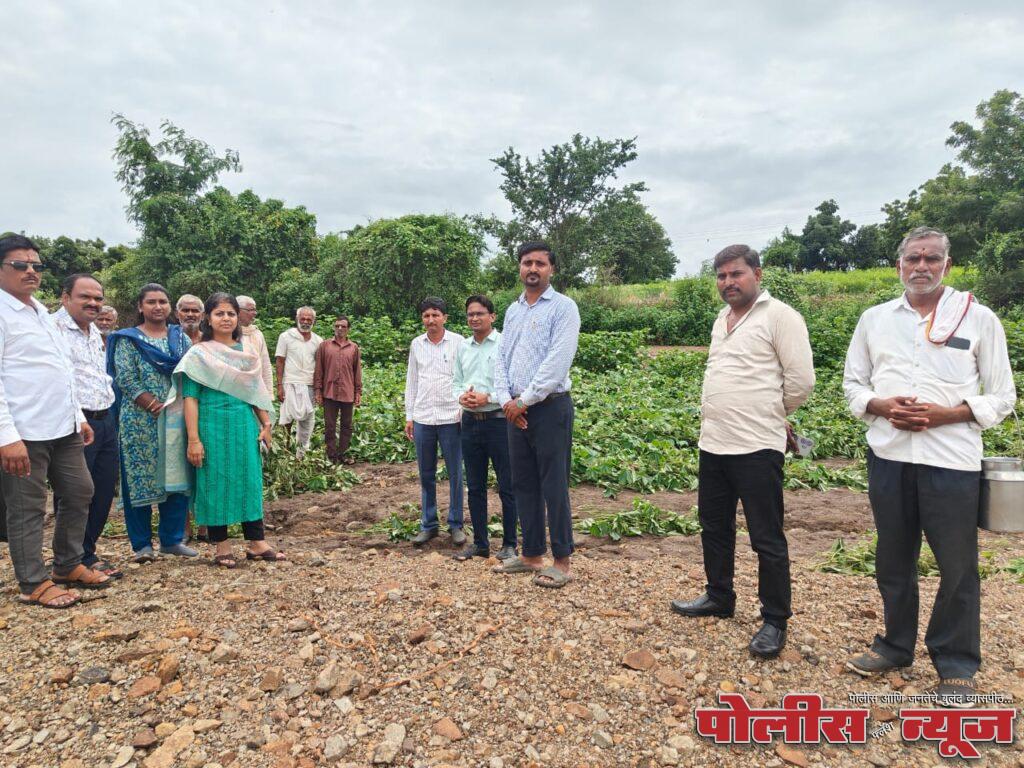 अहमदपूर तालुक्यात अतिवृष्टीचा हाहाकार; 43,000 हेक्टरवरील पिके उद्ध्वस्त, पंचनाम्यांचे काम युद्ध पातळीवर