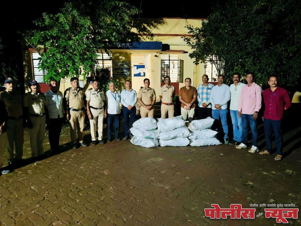 उसाच्या शेतात गांजाची झाडे !!बावकरांच्या टीम पासून लपणार थोडे ?