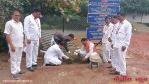 महात्मा फुले महाविद्यालयात मराठवाडा मुक्ती दिनानिमित्त वृक्षारोपण