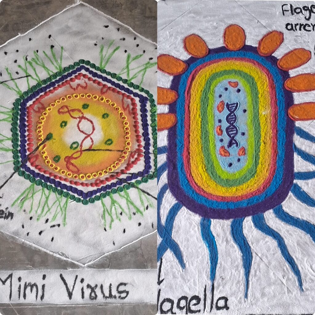 उदयगिरीत रांगोळीतून साकारले सूक्ष्मजीवांचे विश्व