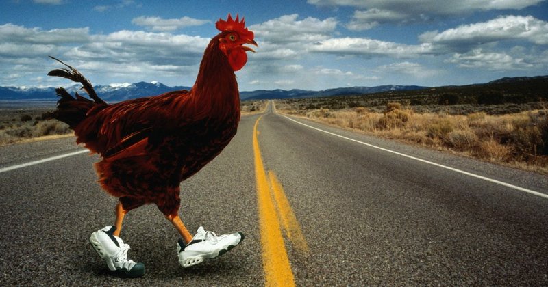 Jocul Chicken Road: Un Turbin de Noroc la Casino!