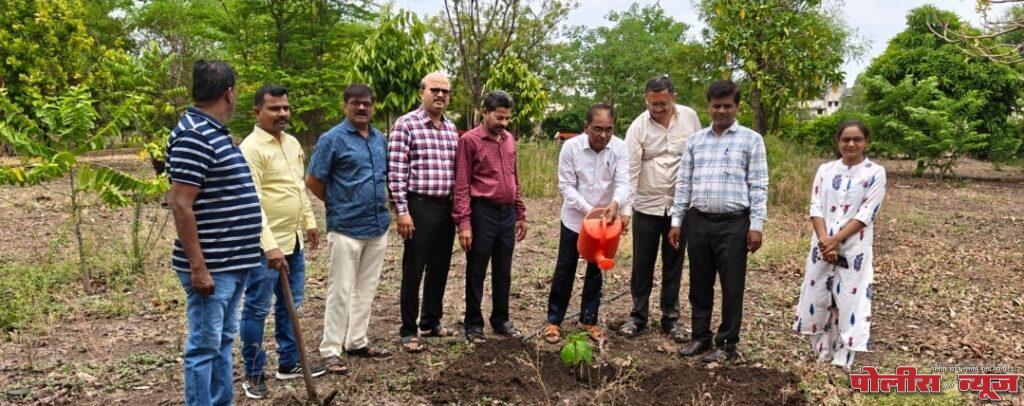 उदयगिरी महाविद्यालयात जागतिक पर्यावरण दिनानिमित्त वृक्षारोपण